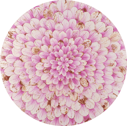 magnolija-kambic-100cm_1