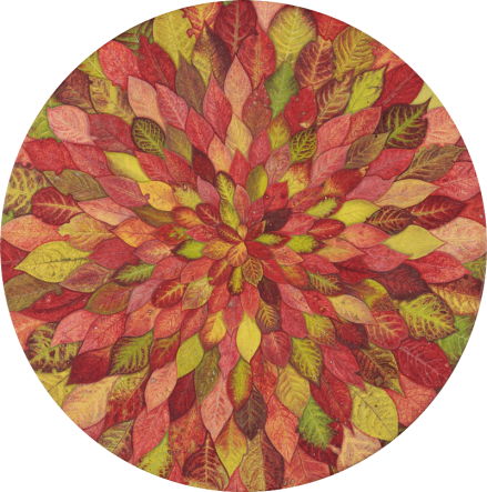 trdoleska-kambic-50cm