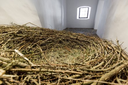 310816_1505__mg_3991