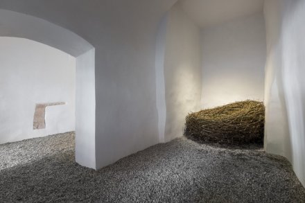 310816_1509__mg_3994