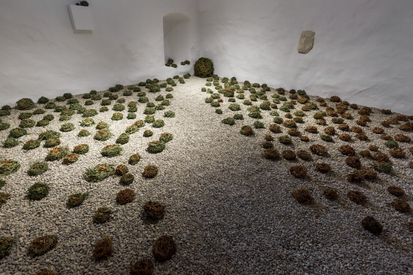 310816_1523__mg_4014