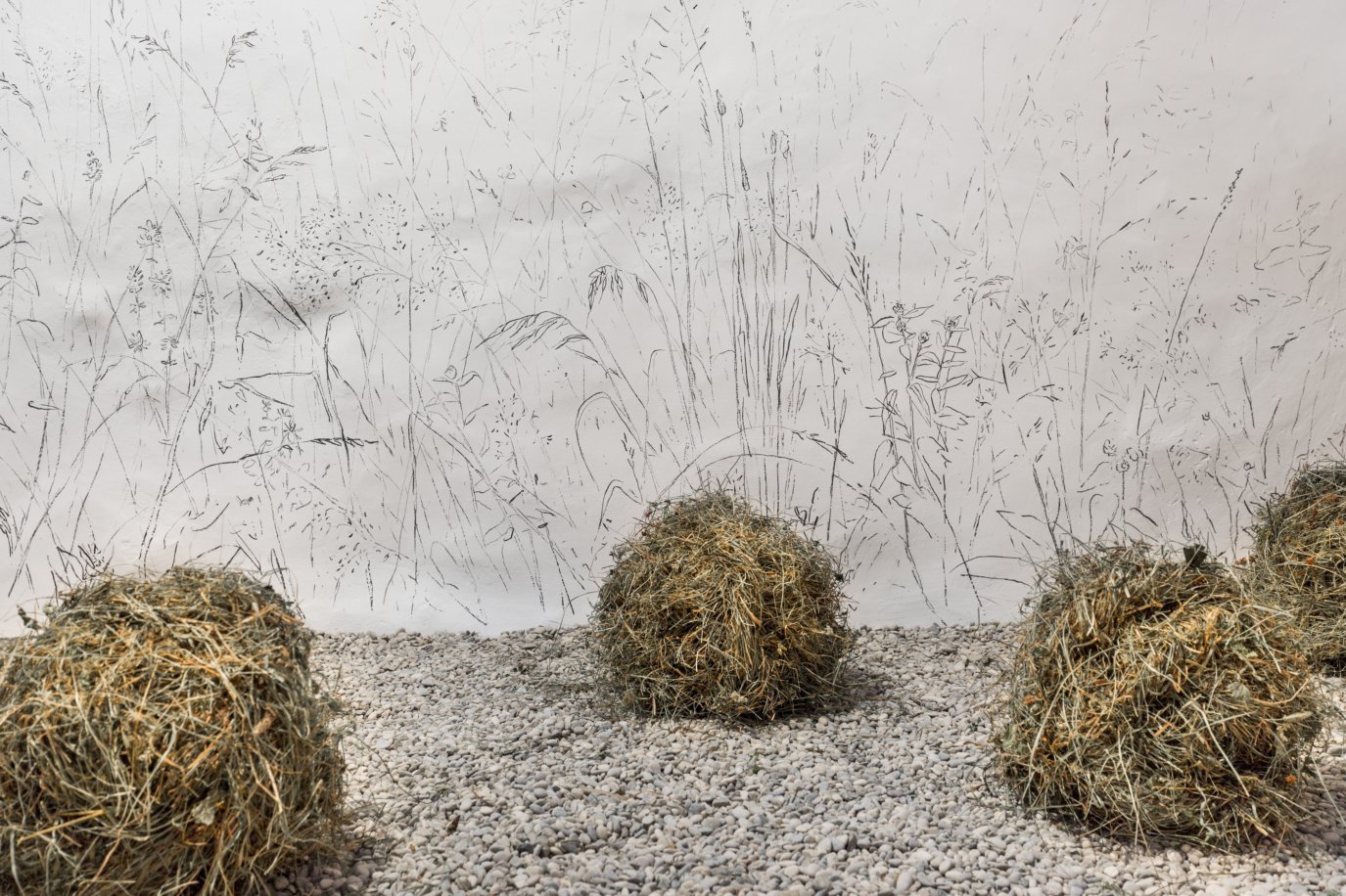 310816_1627__mg_4092