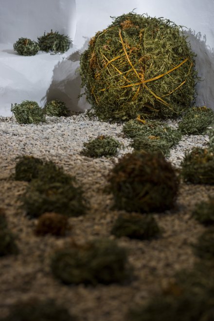 310816_1539__mg_4050