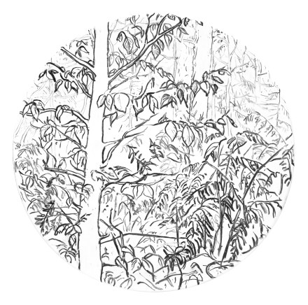 Kavcic Mateja, iz cikla Sanje, 2018, oglje na platnu, ø 40cm