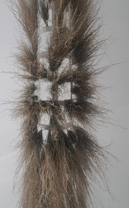 20200623_225130-ANIMATION